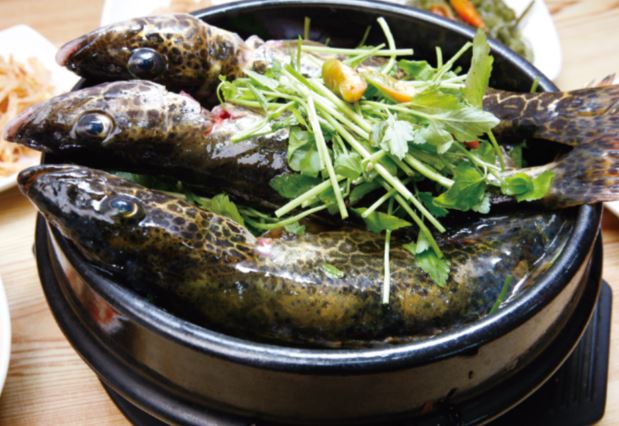 锦江辣味鱼汤餐厅